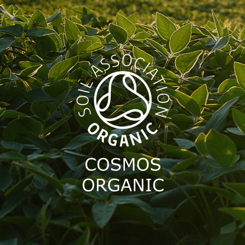 Image shows leaves basking in the sunlight and in the foreground is the logo Soil Association Organic Cosmos organic.